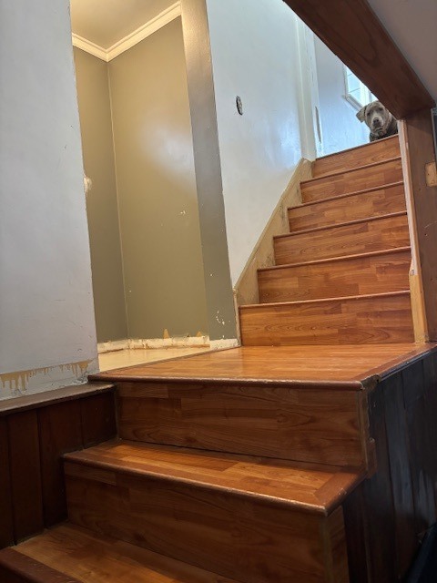 209 Pick Avenue Elmhurst, IL 60126 - Photo 13 of 30