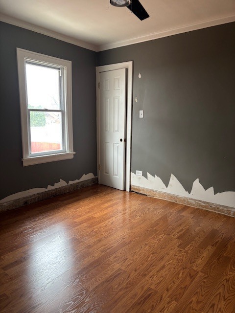 209 Pick Avenue Elmhurst, IL 60126 - Photo 5 of 30