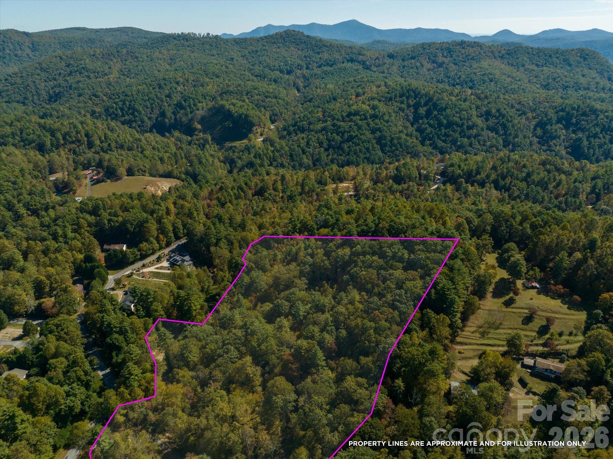 0 Big Hungry Road Flat Rock, NC 28731 - Photo 7 of 40