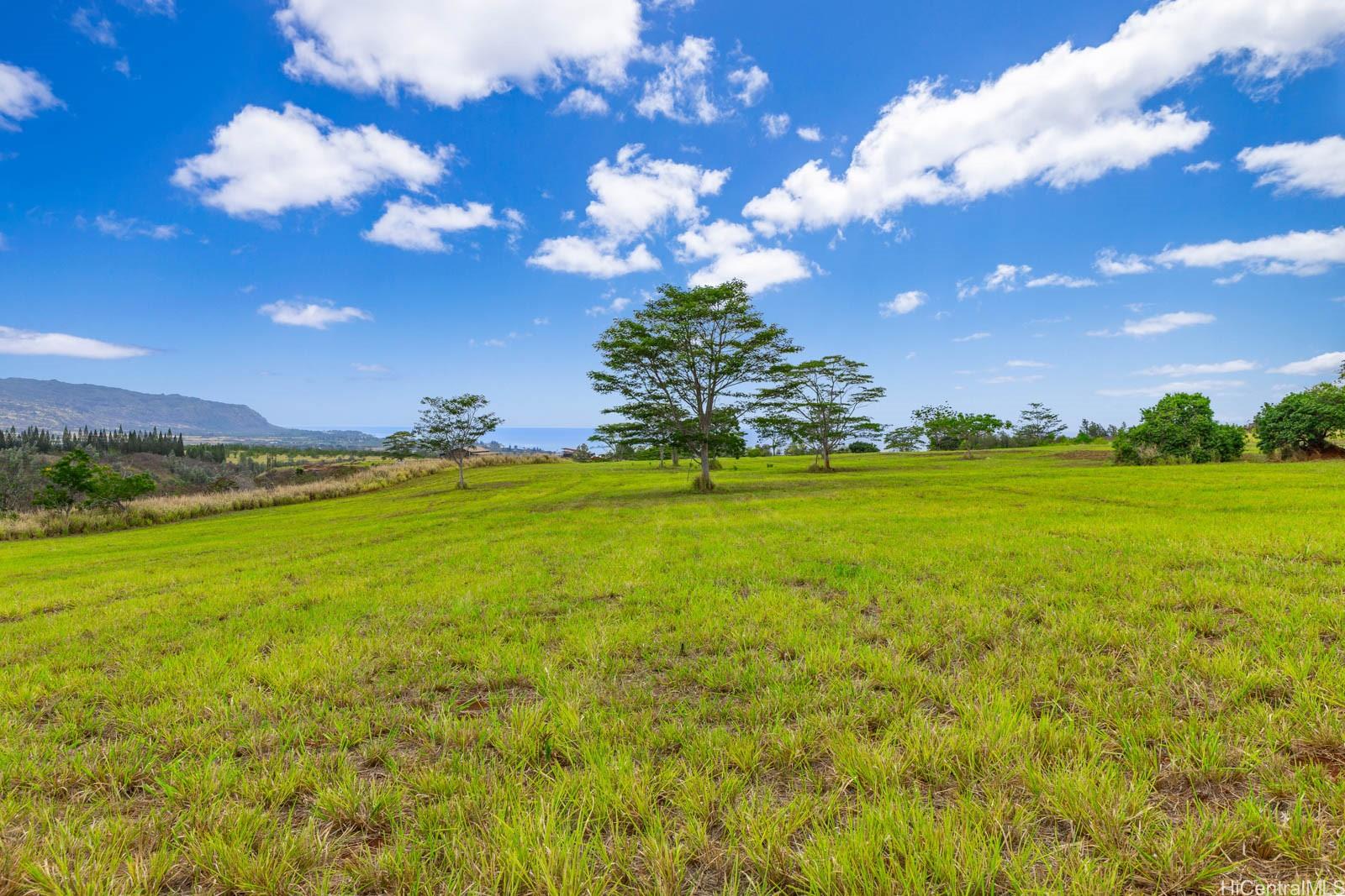 64-486 Kamehameha Highway, Unit 34F Haleiwa, HI 96712 - Photo 22 of 25 a view of a big yard with swimming pool and green space