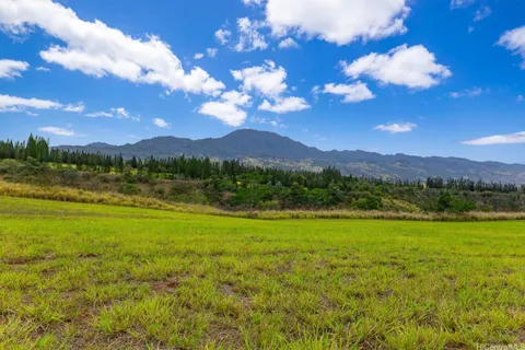 a view of a lake with sunset