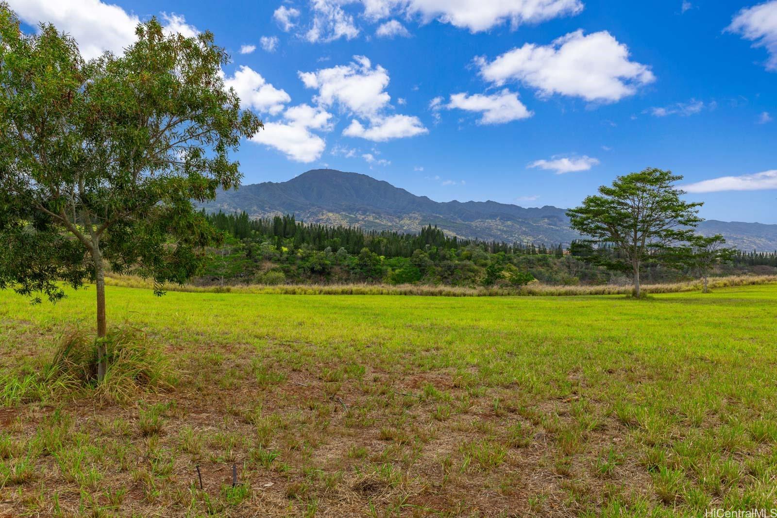 64-486 Kamehameha Highway, Unit 34F Haleiwa, HI 96712 - Photo 25 of 25 a view of a big yard with a large tree