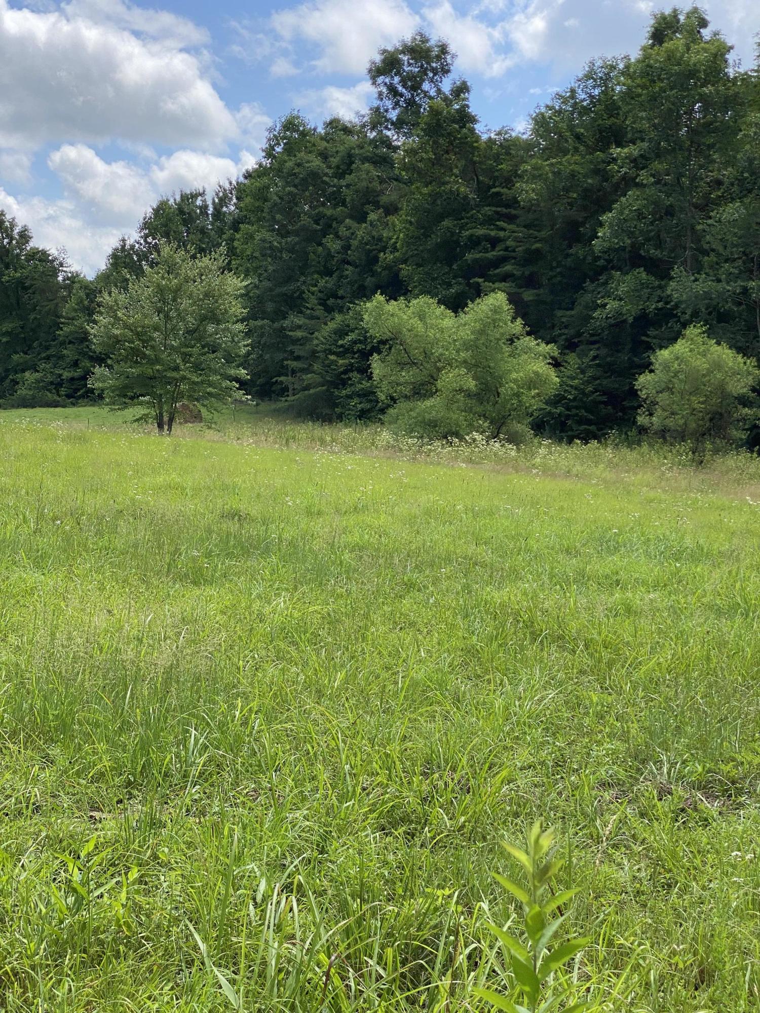 9999 Harrod Branch Road London, KY 40741 - Photo 6 of 20 8A449891-976A-43AF-9435-C280C1967896