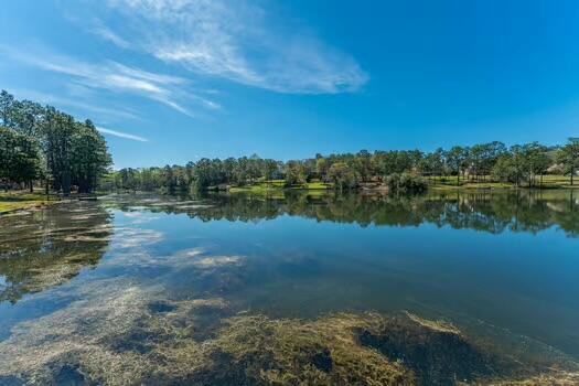 486 Ridge Lake Road Crestview, FL 32536 - Photo 61 of 87 a view of a lake with houses in the background