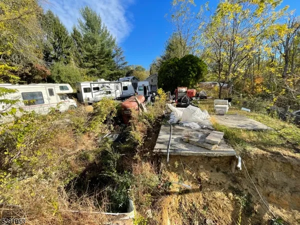 a view of yard along with trees