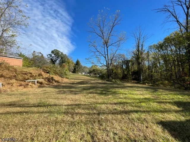 a view of a yard with an trees