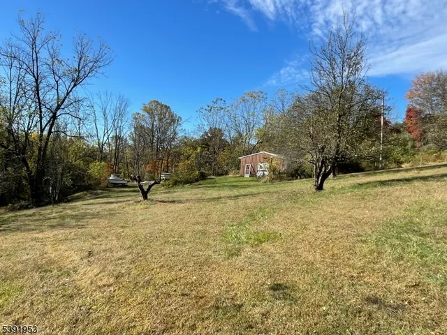 a view of yard with trees