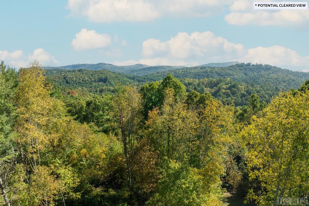1136 Trillium Ridge Road Cullowhee, NC 28723 - Photo 55 of 69 Gallery Image 55