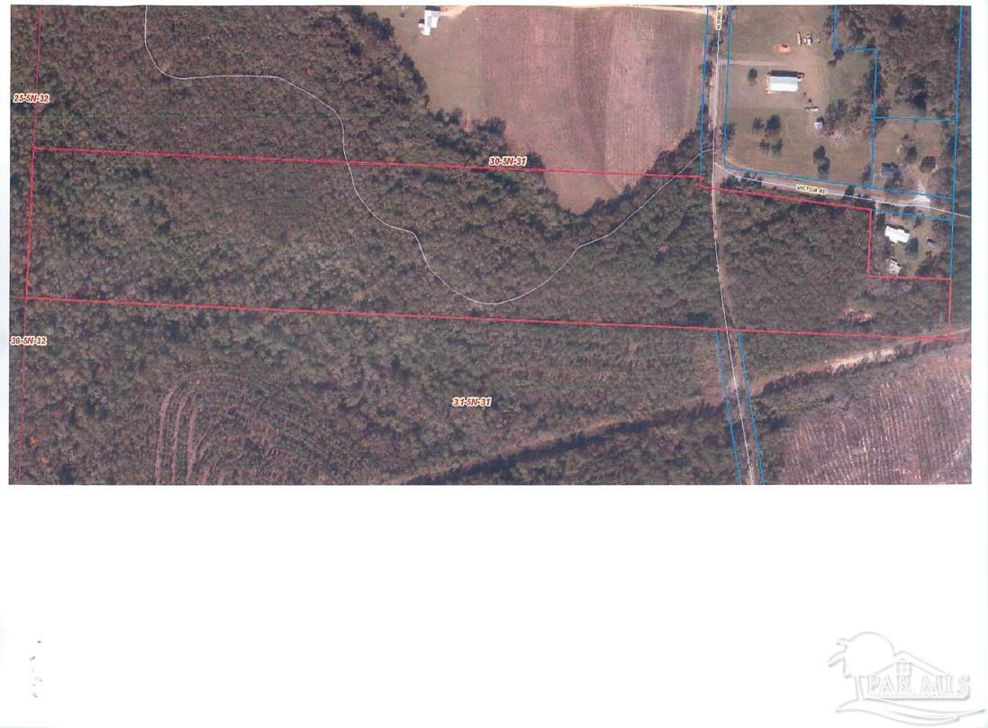 3000 North Pine Barren Road McDavid, FL 32568 - Photo 22 of 22 a view of a backyard
