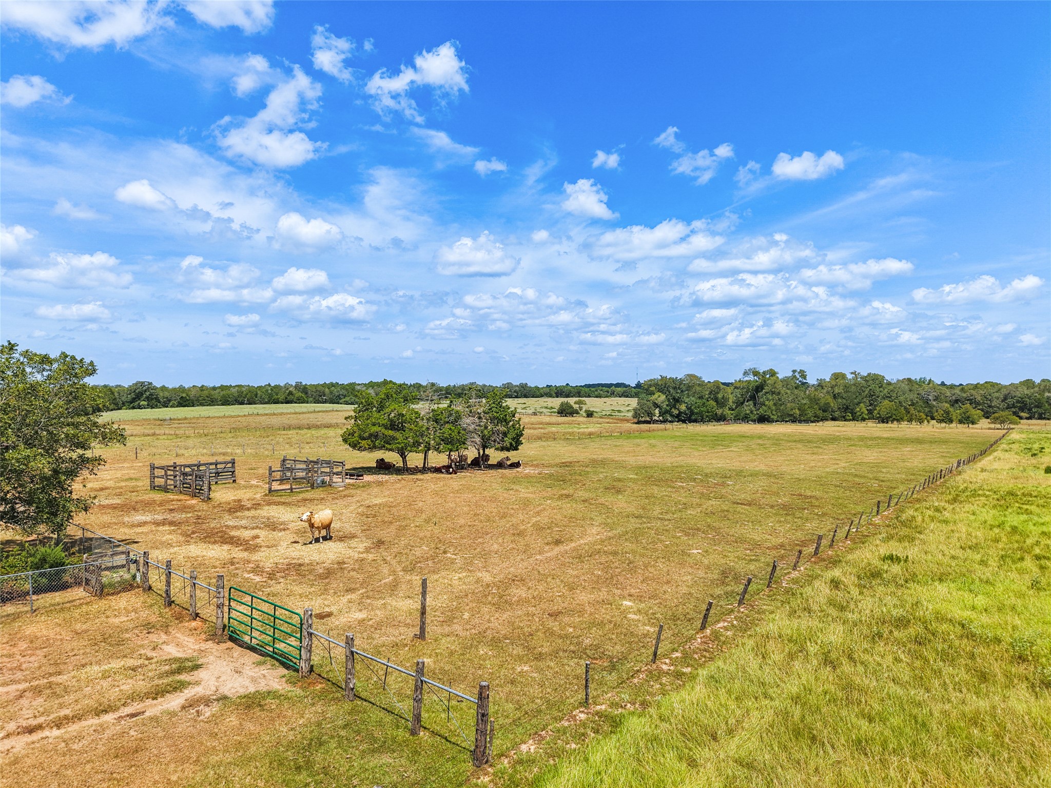 372 Hofferek Road Rosanky, TX 78953 - Photo 4 of 40 View of yard featuring a rural view