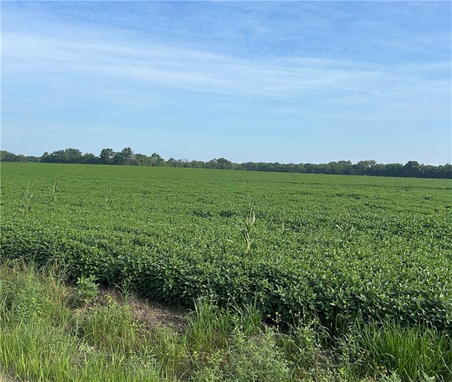 2275 Marshall Road Ottawa, KS 66067 - Photo 11 of 13