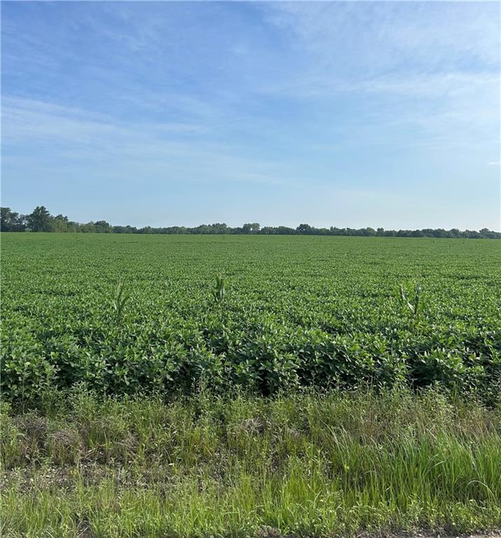 2275 Marshall Road Ottawa, KS 66067 - Photo 4 of 13