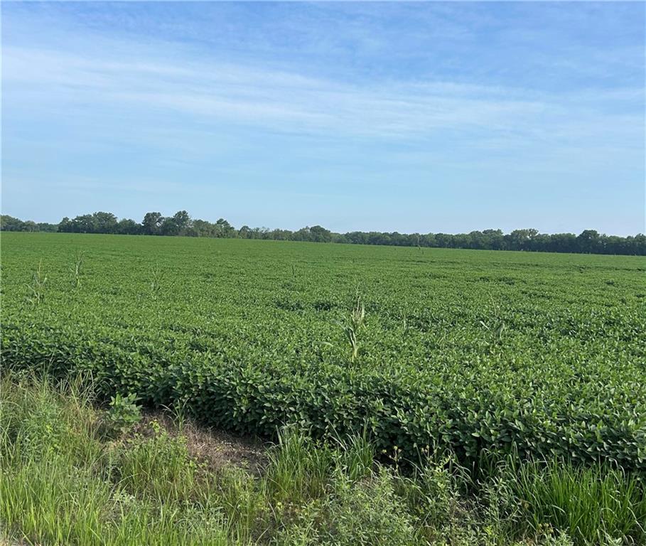 2275 Marshall Road Ottawa, KS 66067 - Photo 5 of 13