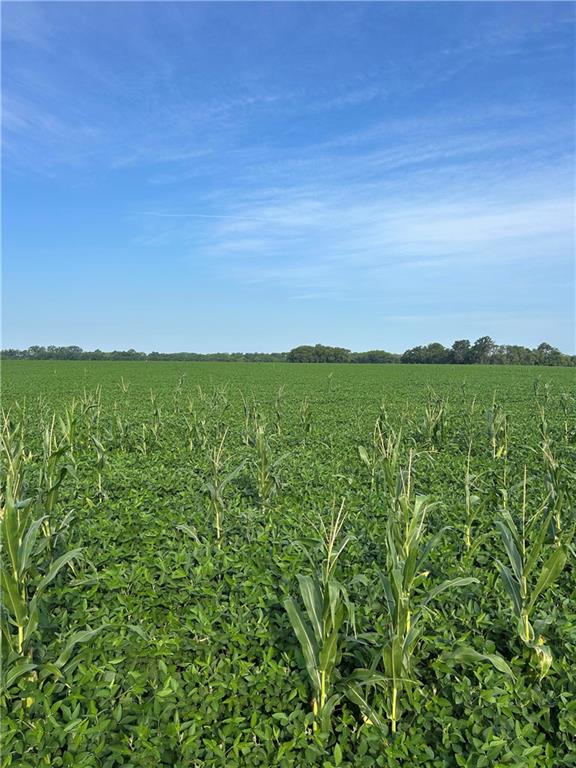 2275 Marshall Road Ottawa, KS 66067 - Photo 8 of 13