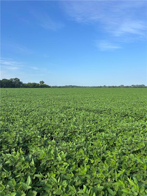 2275 Marshall Road Ottawa, KS 66067 - Photo 10 of 13