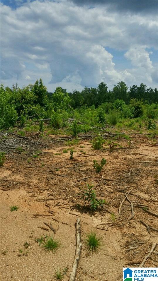 0 County Road 253, Unit 19 Clanton, AL 35045 - Photo 2 of 5