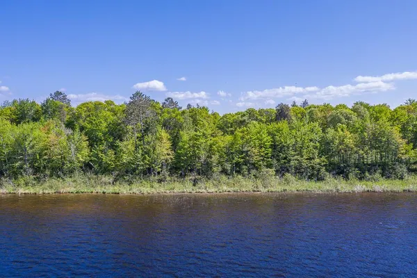 $800,000 | Tbd Sorenson Lake Road, Merrifield, MN 56465
