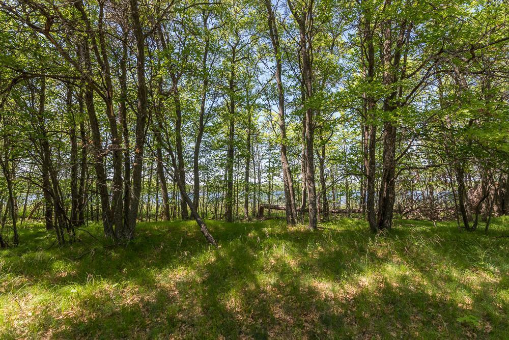 Tbd Sorenson Lake Road Merrifield, MN 56465 - Photo 22 of 26