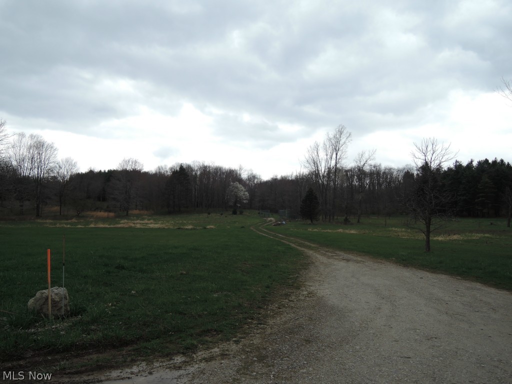 7932 Dines Road Novelty, OH 44072 - Photo 4 of 7 Back of 13.4 acres. Beautiful setting.
