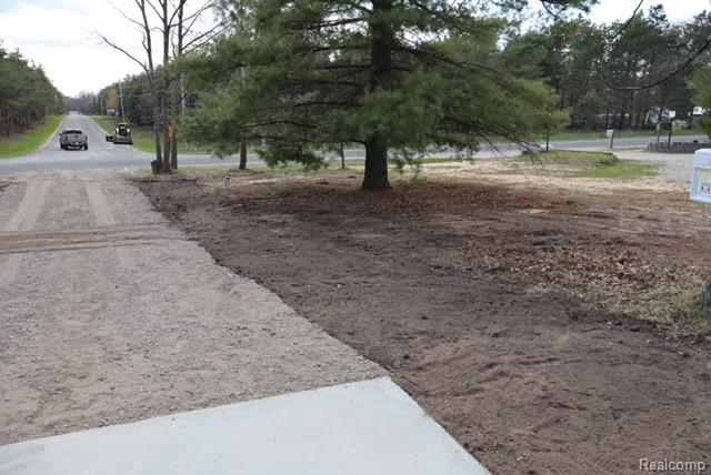 1545 South La Chance Road Lake City, MI 49651 - Photo 9 of 51 View of yard