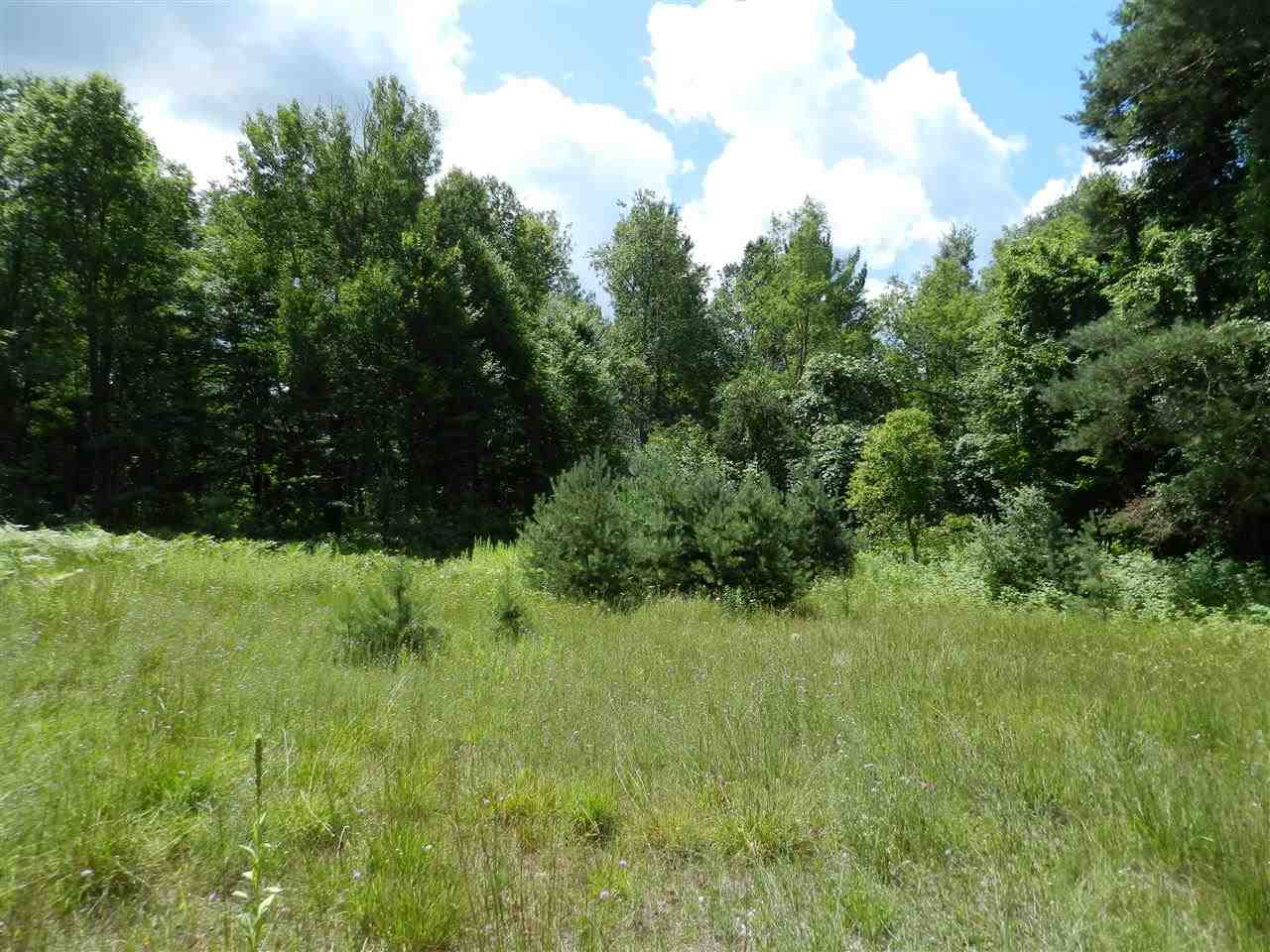 7529 Blue Road Southwest Fife Lake, MI 49633 - Photo 21 of 62 1865960-20.JPG