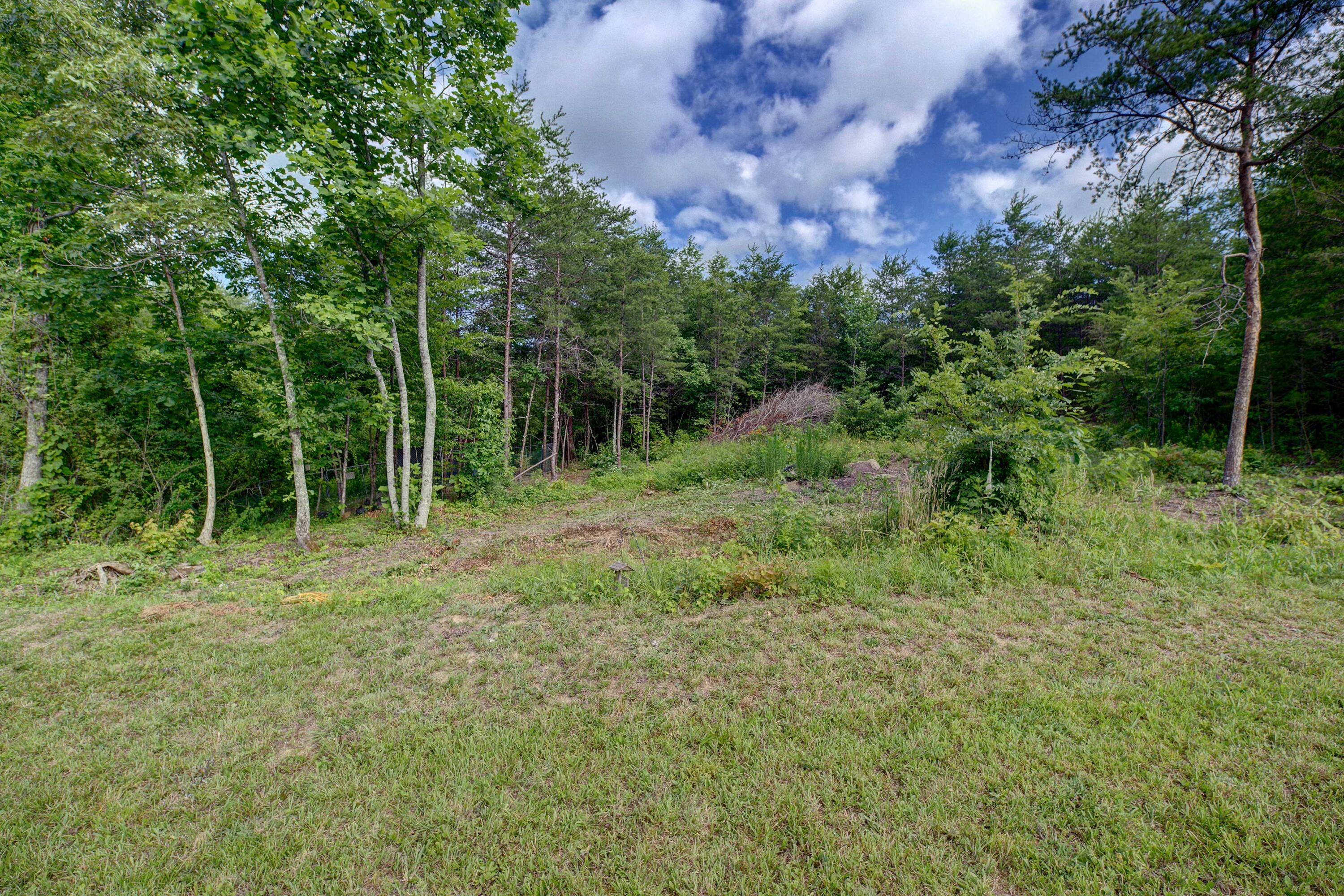 524 Byrams Fork Road Andersonville, TN 37705 - Photo 21 of 26 Image08