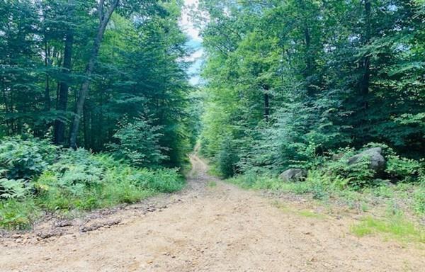 499 Beaman Road Warren, MA 01083 - Photo 38 of 40 a view of a forest with trees in the background