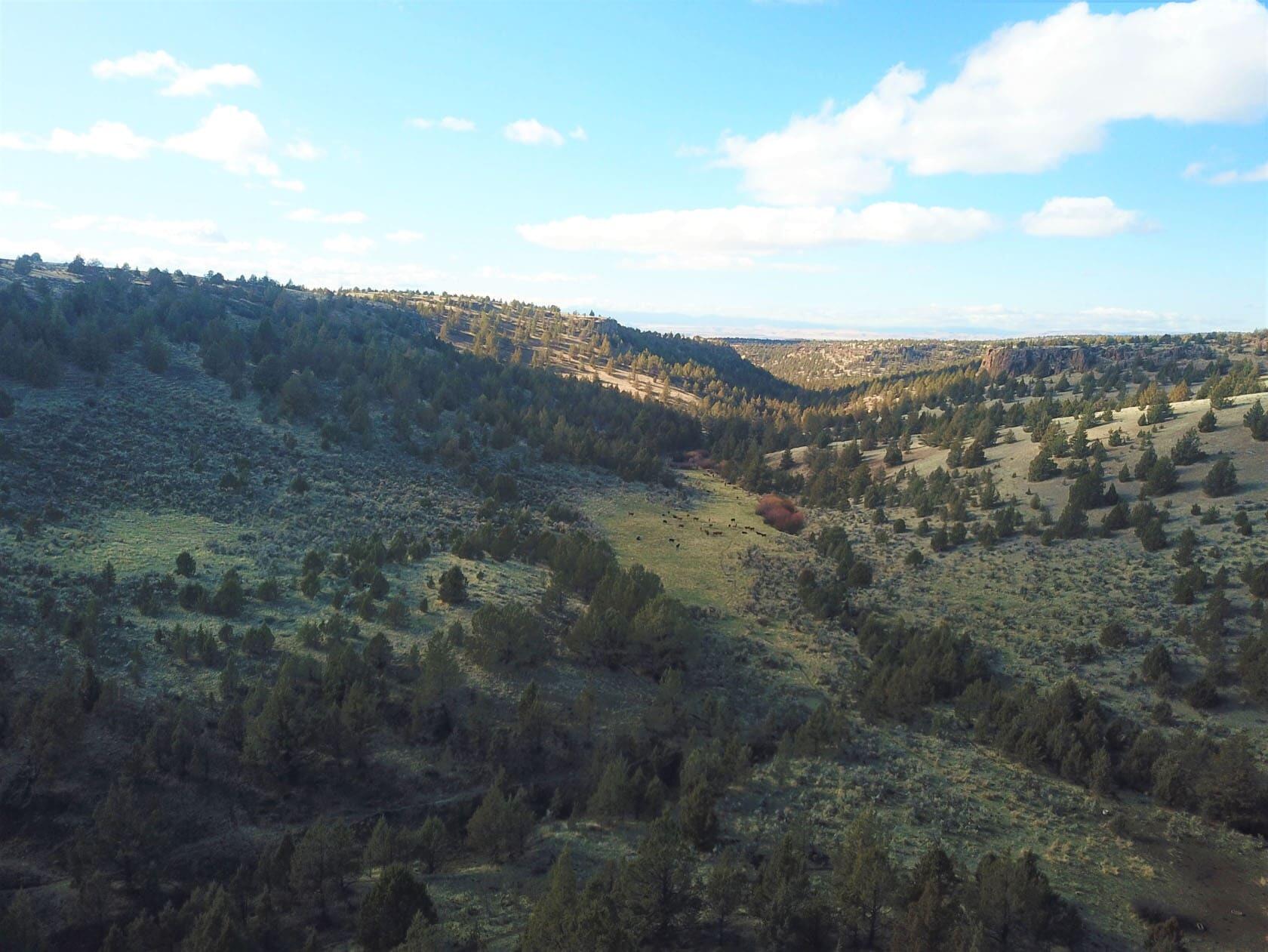 N/a Haycreek Road Madras, OR 97741 - Photo 7 of 28 green-valley-oregon-indian-camp-on-pine-