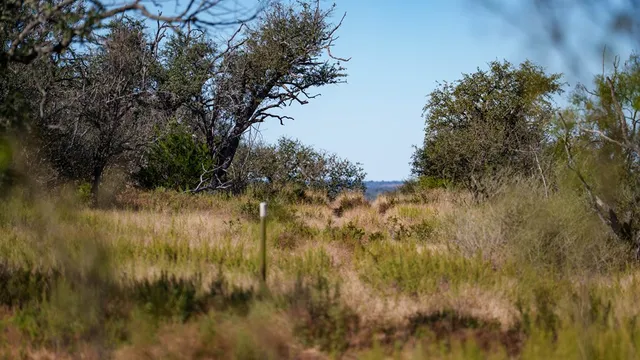 a view of lake from yard