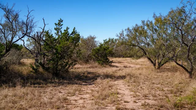 a view of a yard covered with snow in outdoor space