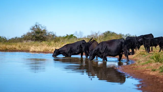 a view of swimming pool outdoor seating and lake