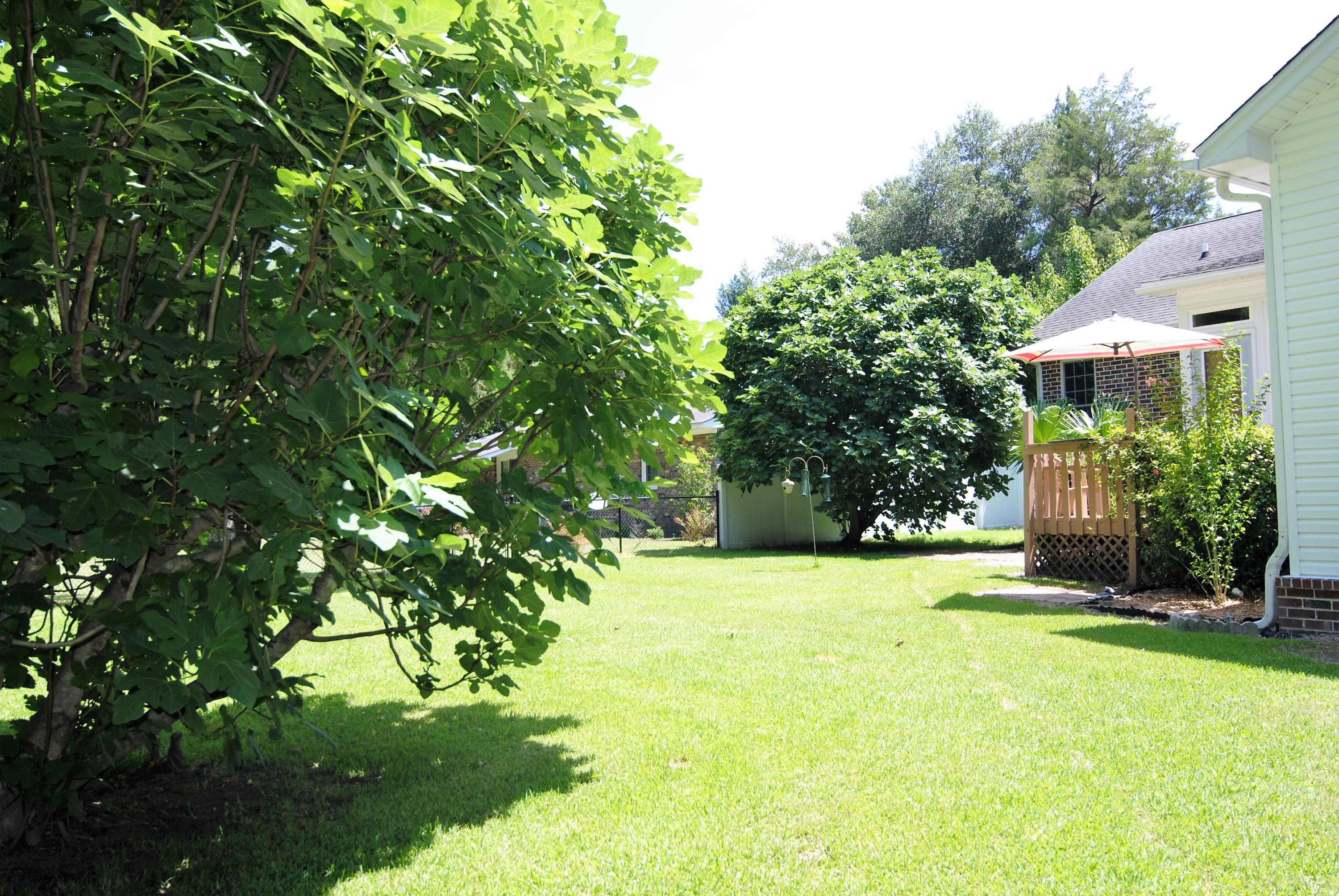 1505 State Rd S-8-700 Moncks Corner, SC 29461 - Photo 13 of 16 MLS15