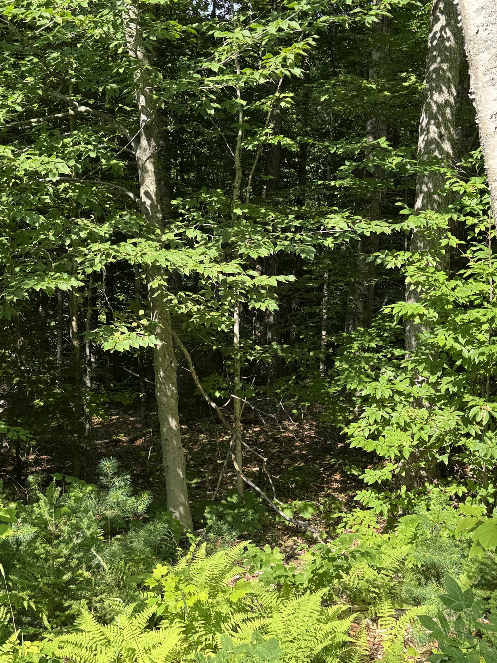 0 North Groton Road Hebron, NH 03241 - Photo 15 of 15