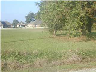 117 Fallis Road Lafayette, LA 70507 - Photo 1 of 1 Primary Photo