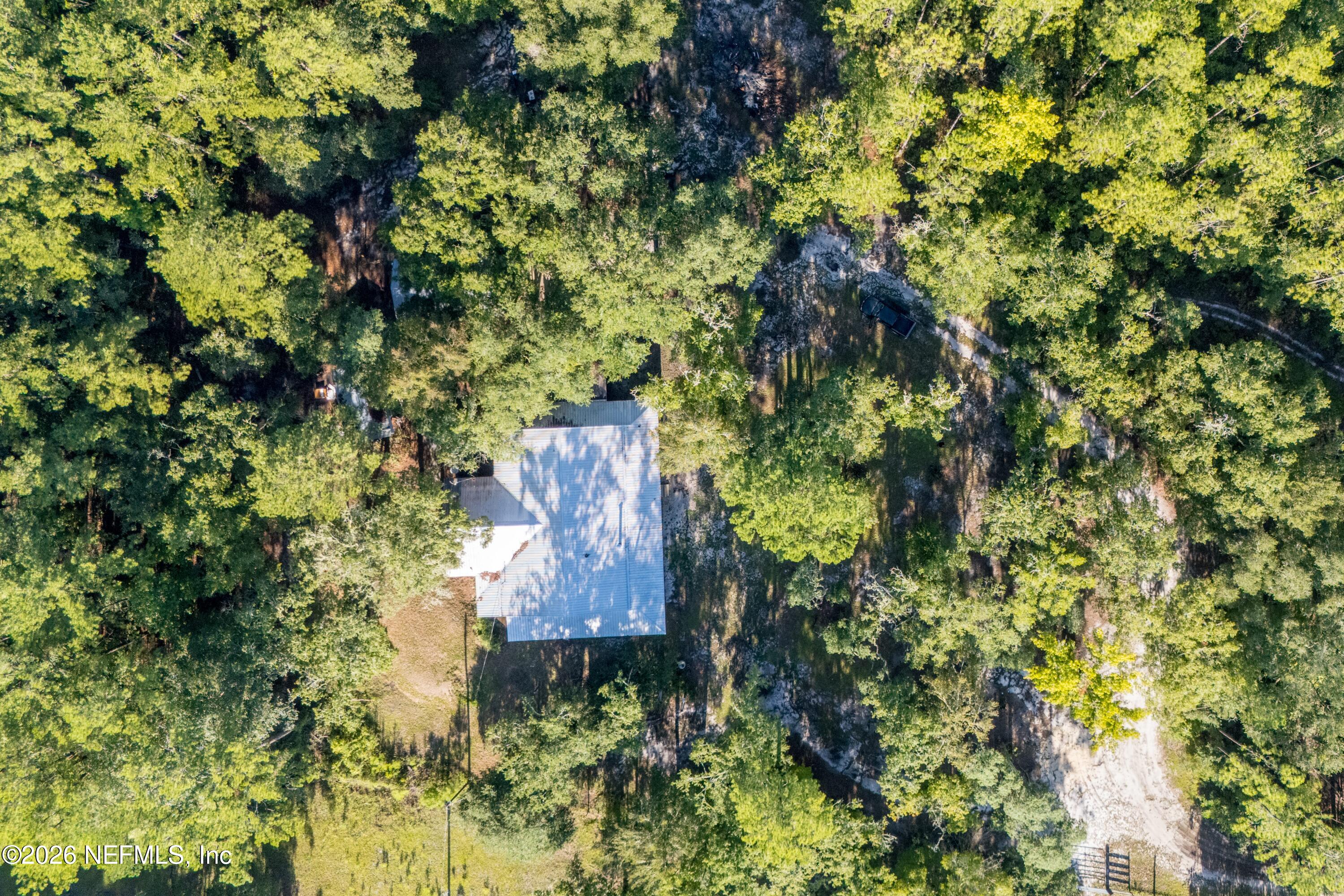 11309 Southwest 167th Circle Brooker, FL 32622 - Photo 5 of 42 a picture of tree