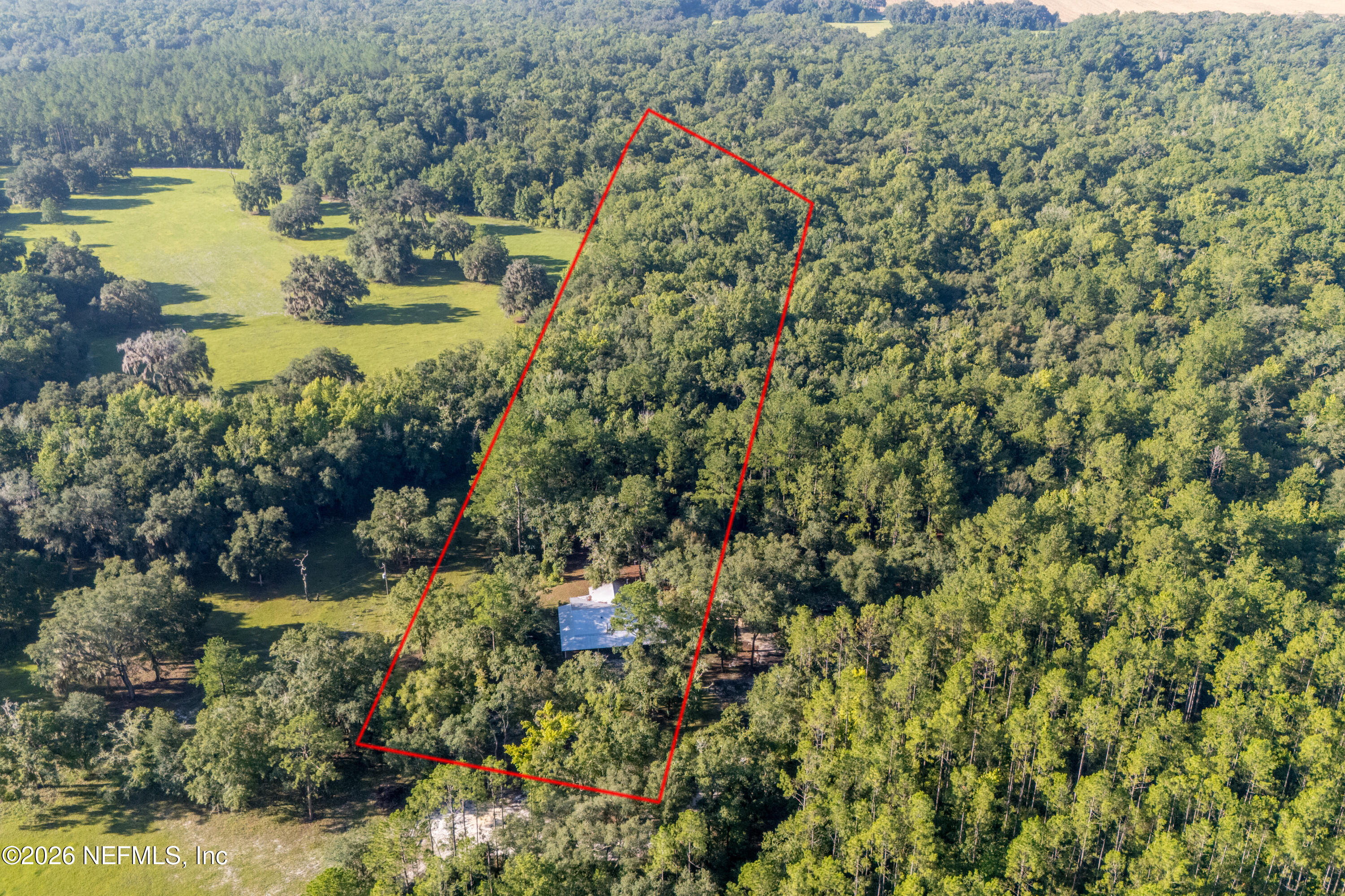 11309 Southwest 167th Circle Brooker, FL 32622 - Photo 6 of 42 a view of a houses with a yard
