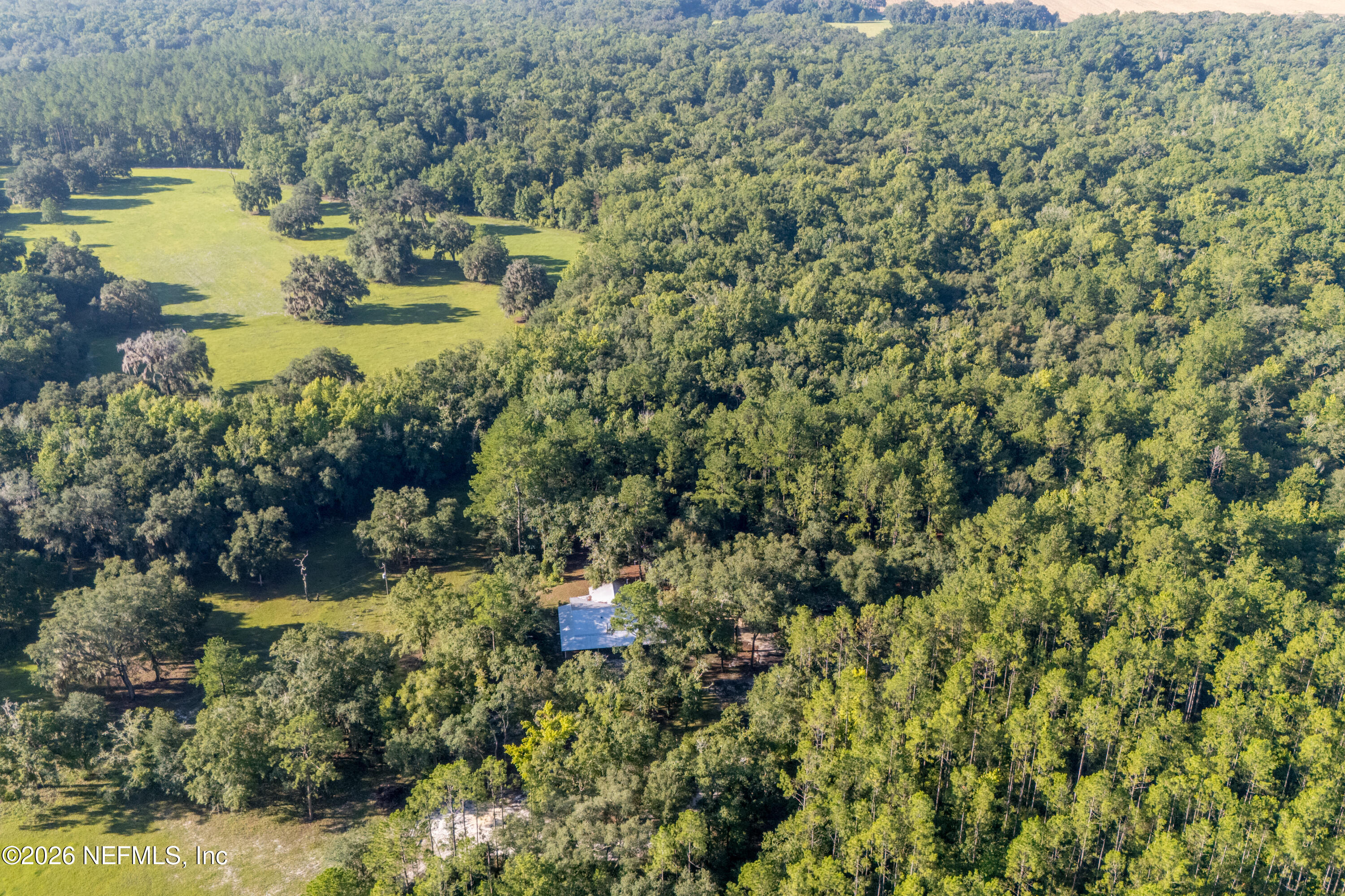 11309 Southwest 167th Circle Brooker, FL 32622 - Photo 8 of 42 a view of a lake with large trees