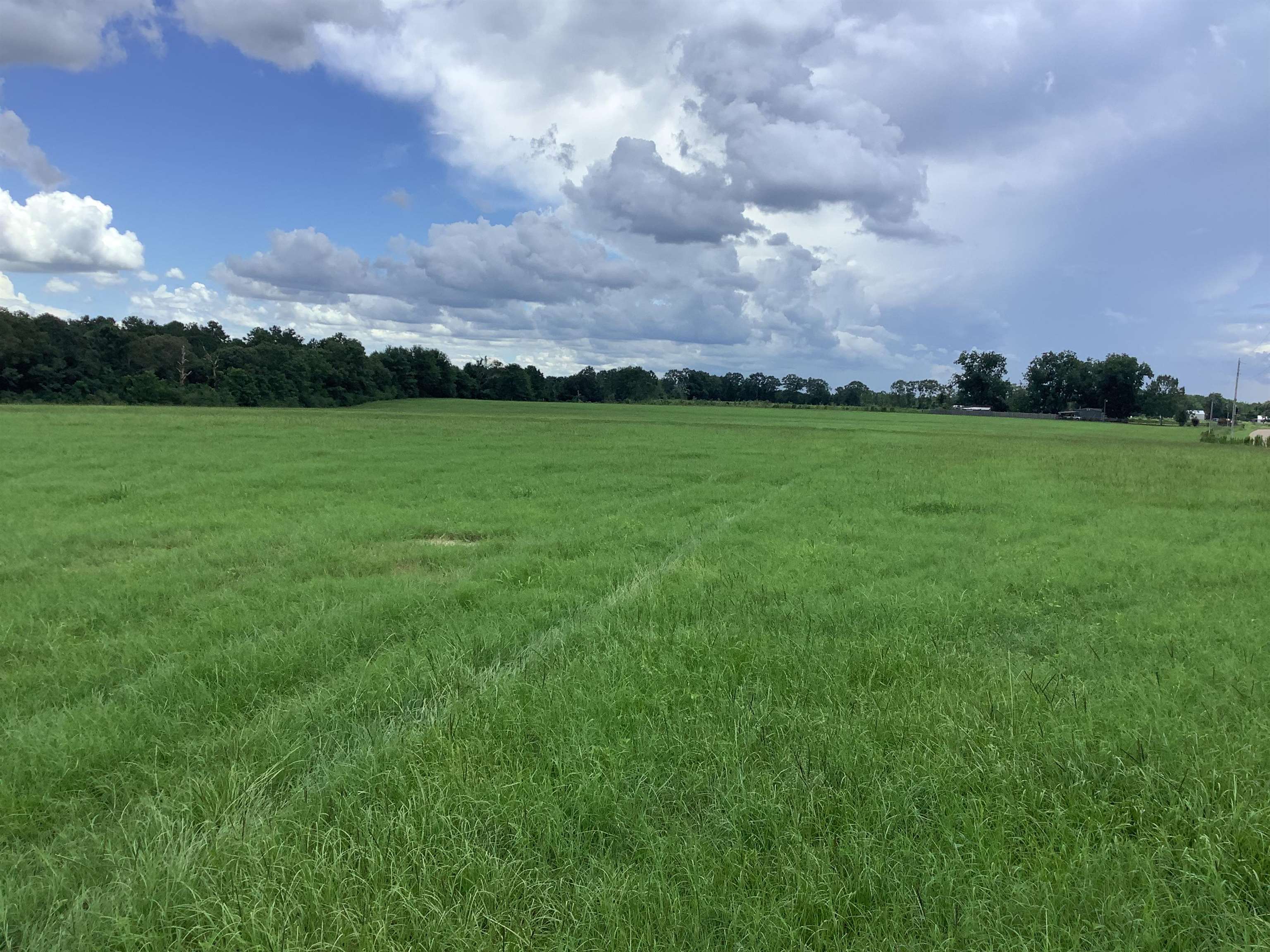 27770 Babbie Road Andalusia, AL 36421 - Photo 22 of 31 Gallery Image 22