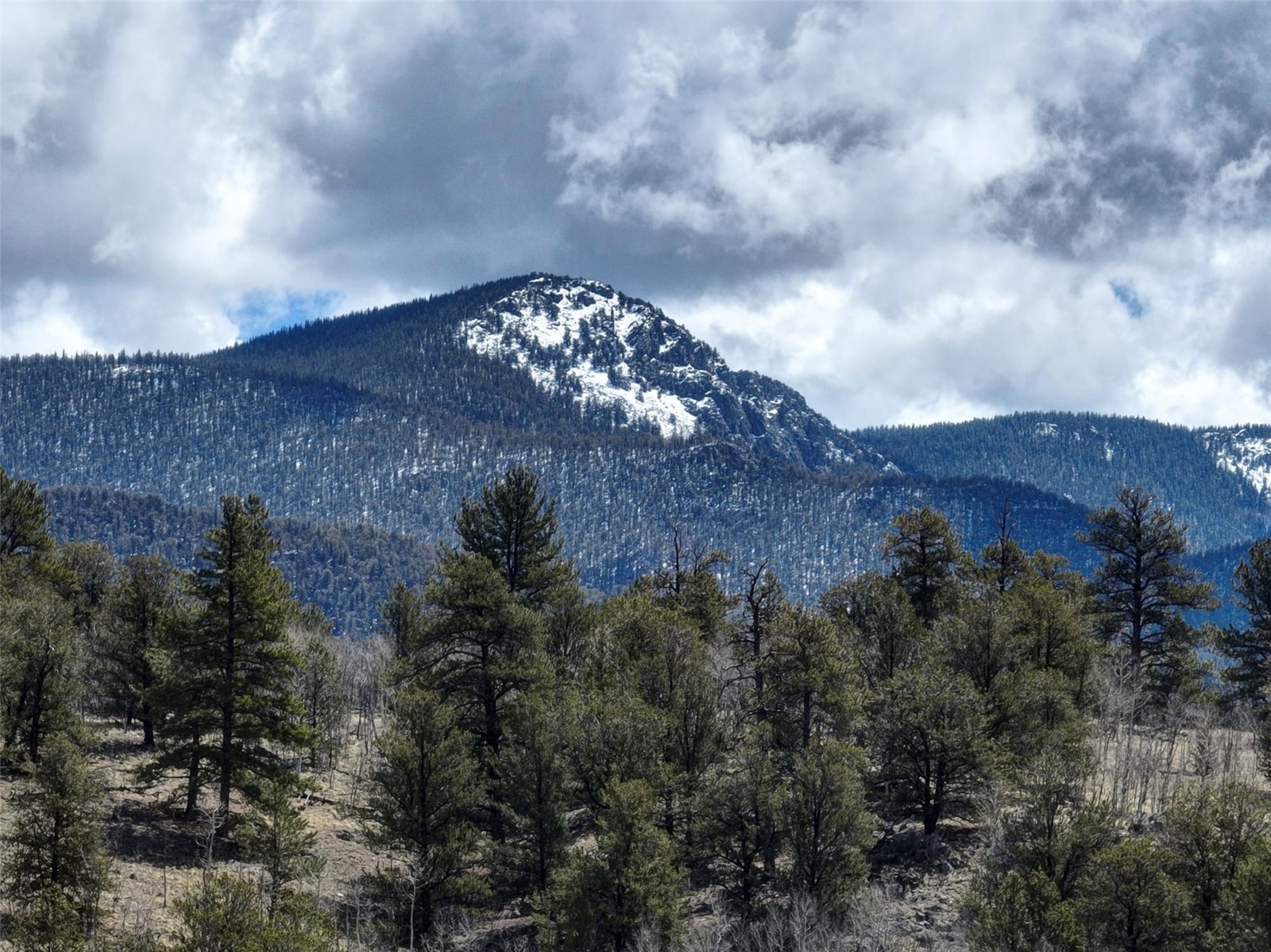 114 Eagle Rock Road Jefferson, CO 80456 - Photo 10 of 16 View of mountain background