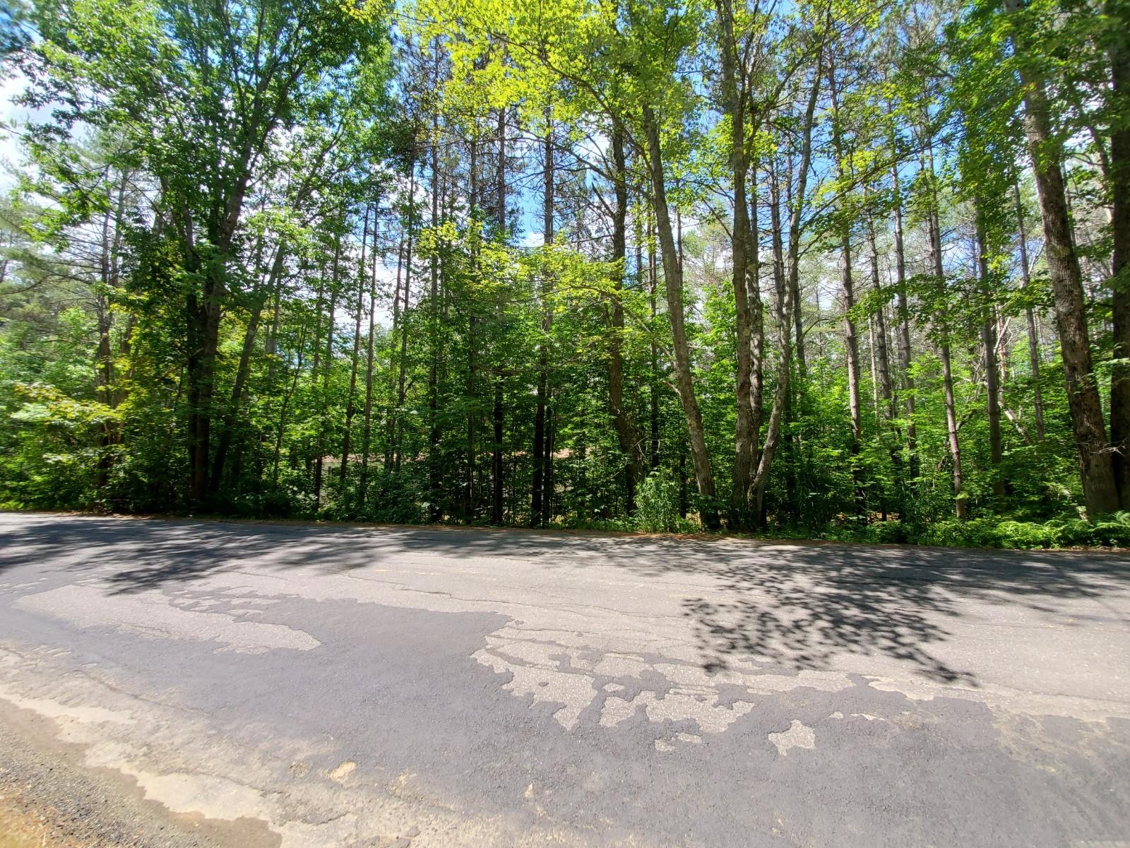 330 Buzzell Hill Road Hope, ME 04847 - Photo 26 of 32 20200706_120852