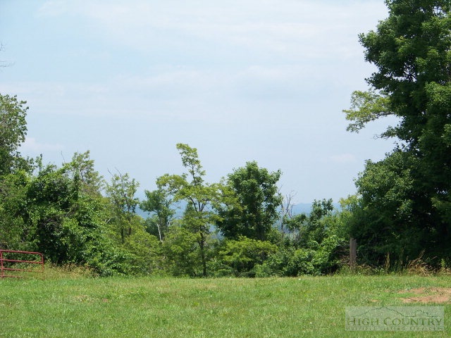 Lot 2 Chapel Hills Road Boone, NC 28607 - Photo 2 of 5 Gallery Image 2