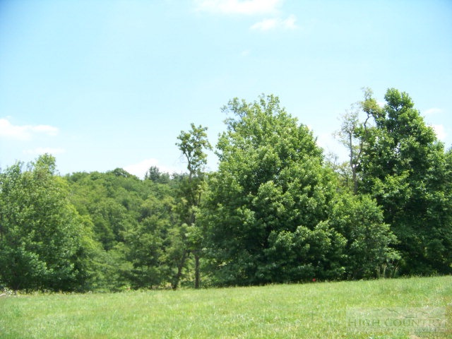 Lot 2 Chapel Hills Road Boone, NC 28607 - Photo 3 of 5 Gallery Image 3