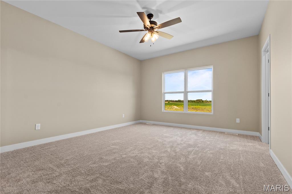 926 Seneca Drive Waterloo, IL 62298 - Photo 16 of 35