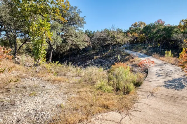 a view of a yard with trees