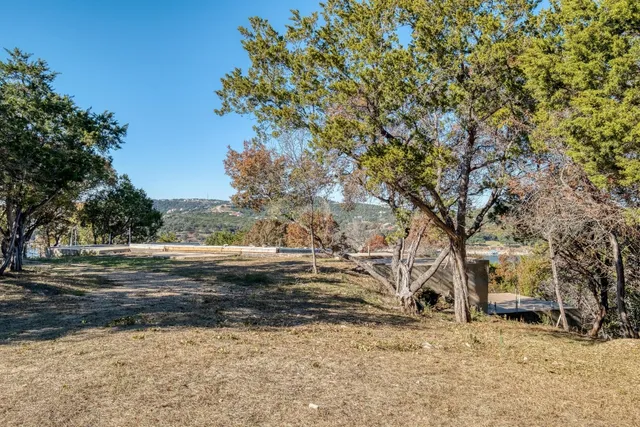 a view of a yard with a tree
