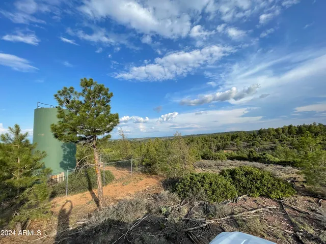 a view of a pathway with a yard