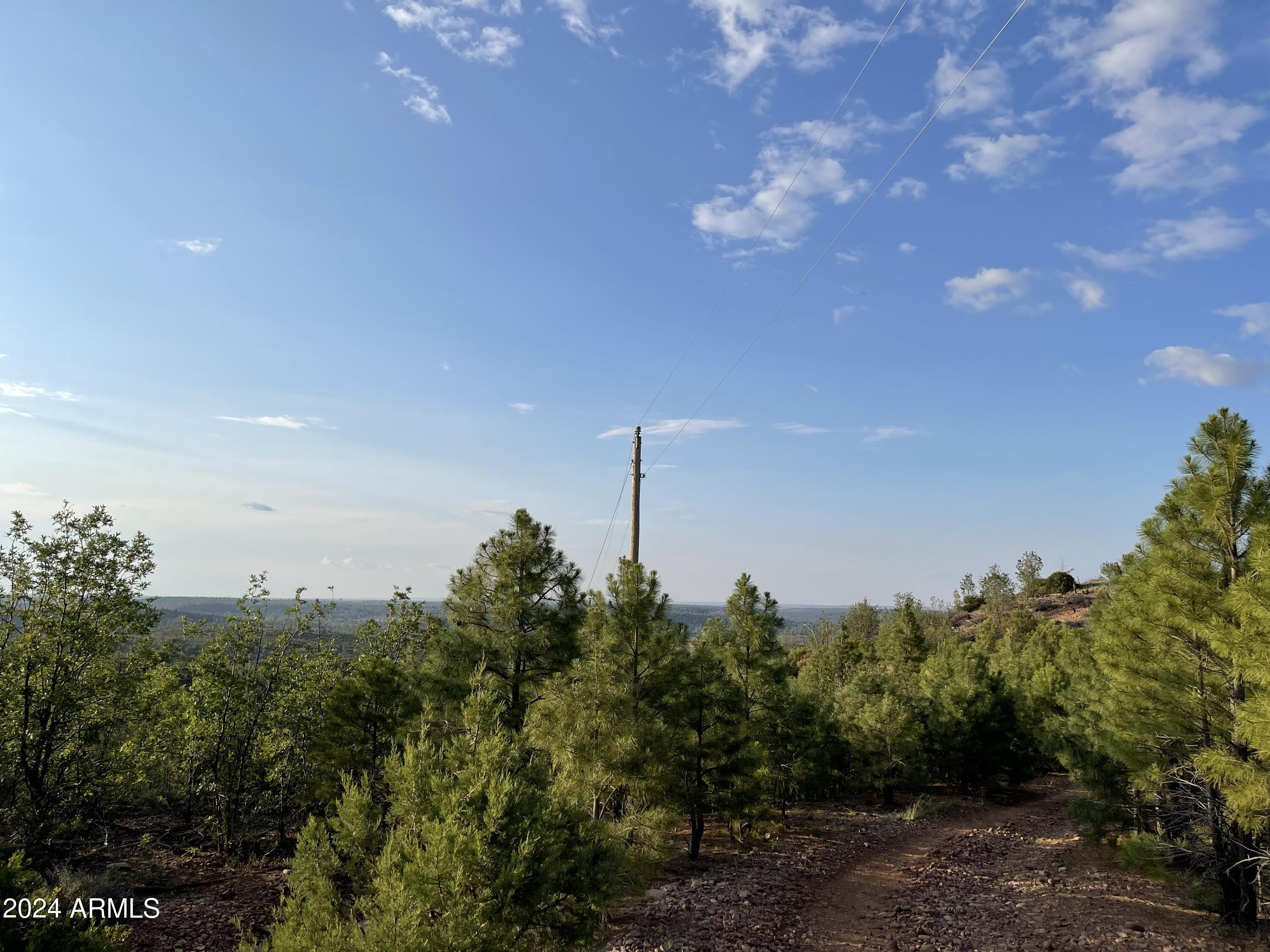 0 East 260th Highway Overgaard, AZ 85933 - Photo 4 of 8 a backyard of a house with lots of green space