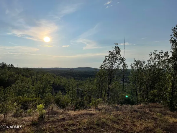 a view of a city with green space