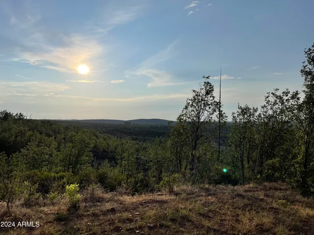 a view of a city with green space