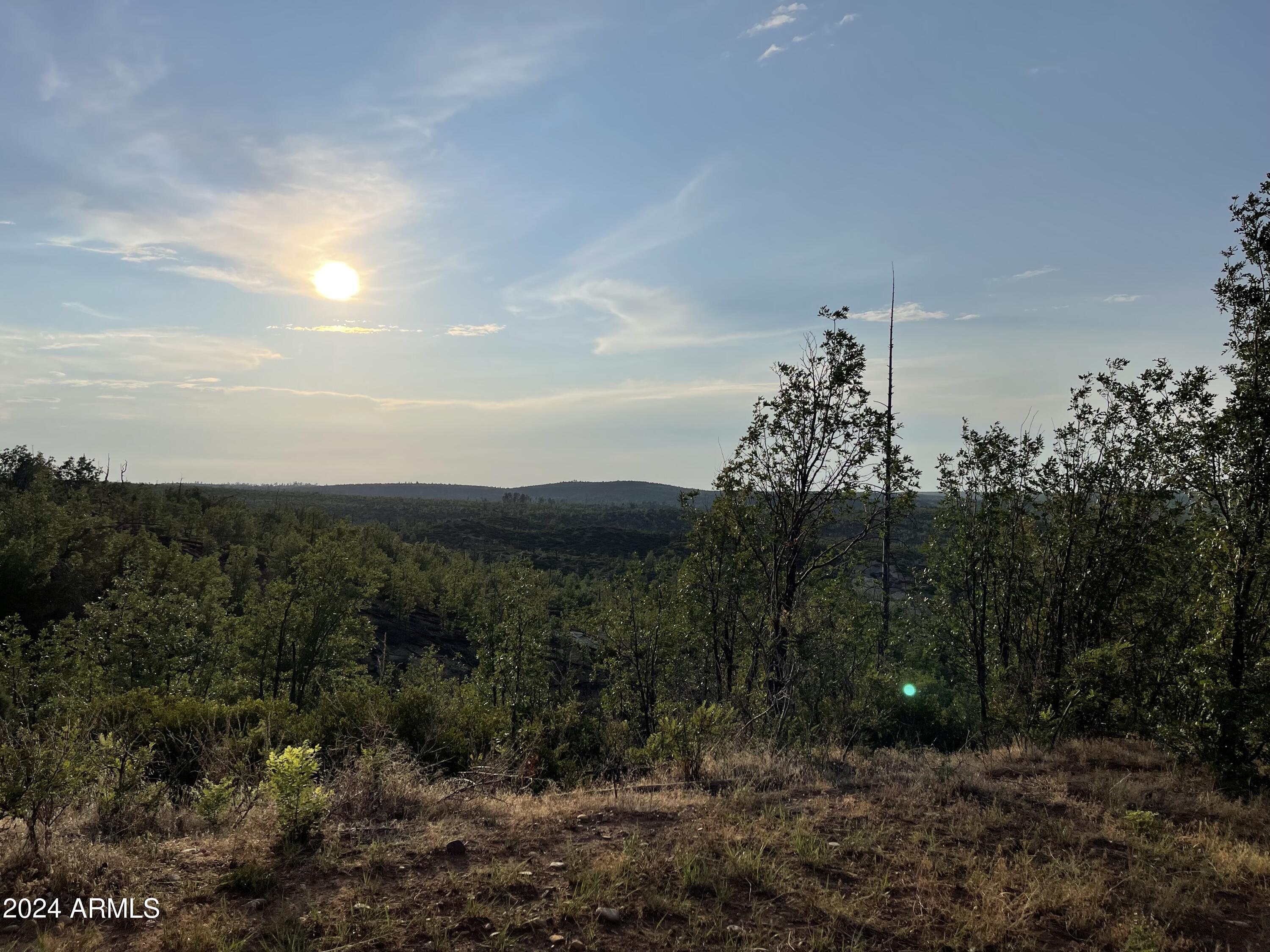 0 East 260th Highway Overgaard, AZ 85933 - Photo 5 of 8 a view of a city with green space